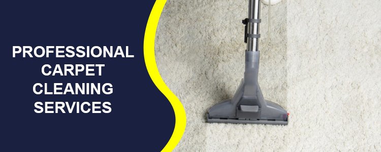 Professional Carpet Cleaning Services