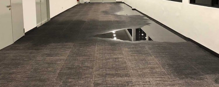 Best Flood Damage Restoration Pakenham