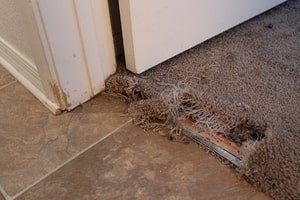 Carpet Repair Service