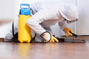 Pest Control Service